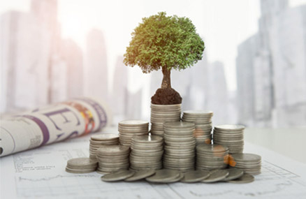 demo-eleven-investments-management